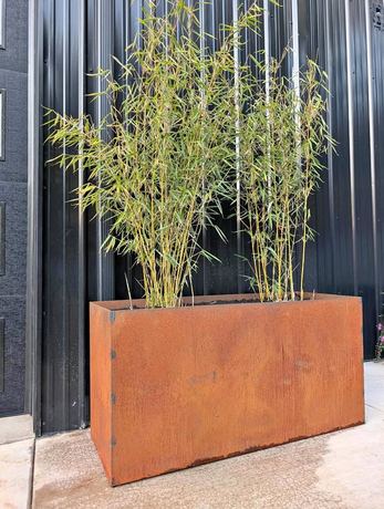 Garden box