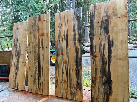 Live Edge Wood Slabs