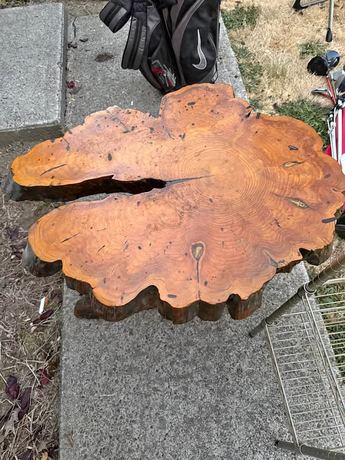 Vintage Live Edge Wood Slab Coffee Table - Solid Tree Stump Root Base (2x3 ft)